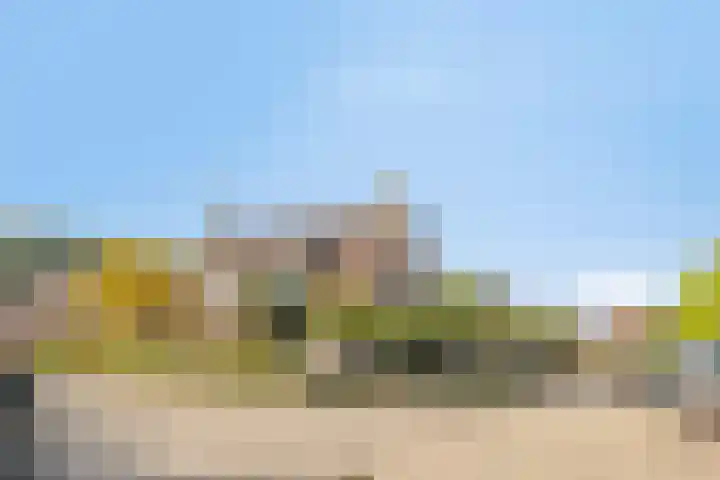 Vlasselt 31 Wagenberg thumbnail 29