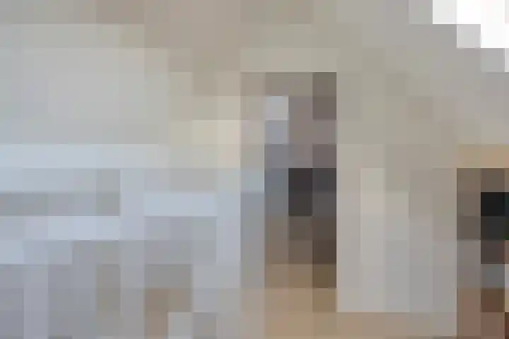 Vlasselt 31 Wagenberg thumbnail 32