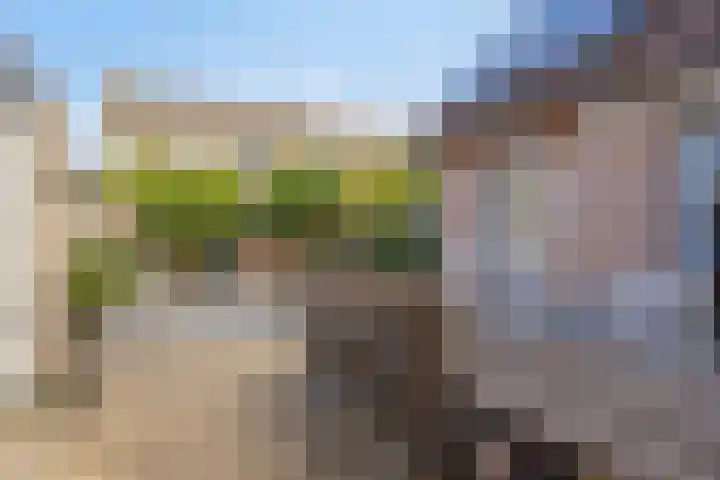 Vlasselt 31 Wagenberg thumbnail 36
