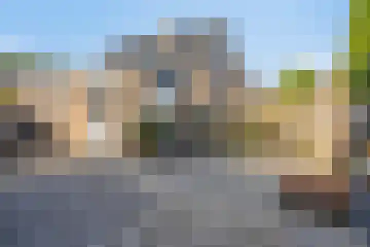 Vlasselt 31 Wagenberg thumbnail 39