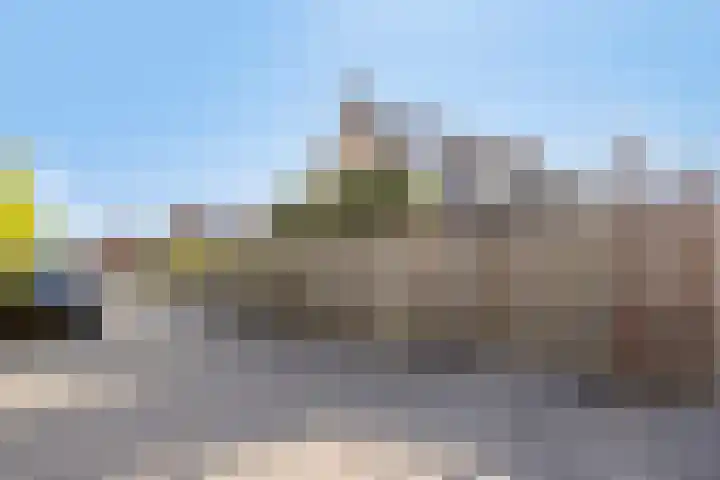 Vlasselt 31 Wagenberg thumbnail 41