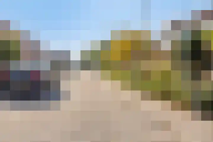 Vlasselt 31 Wagenberg thumbnail 42