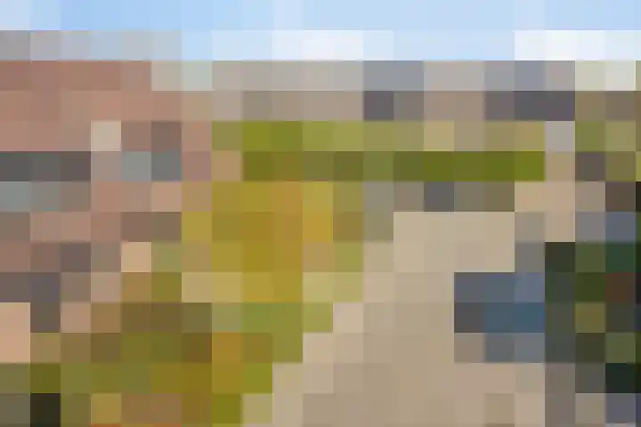 Vlasselt 31 Wagenberg thumbnail 43
