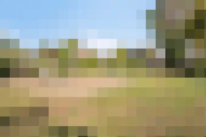 Vlasselt 31 Wagenberg thumbnail 44