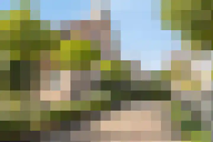 Vlasselt 31 Wagenberg thumbnail 6