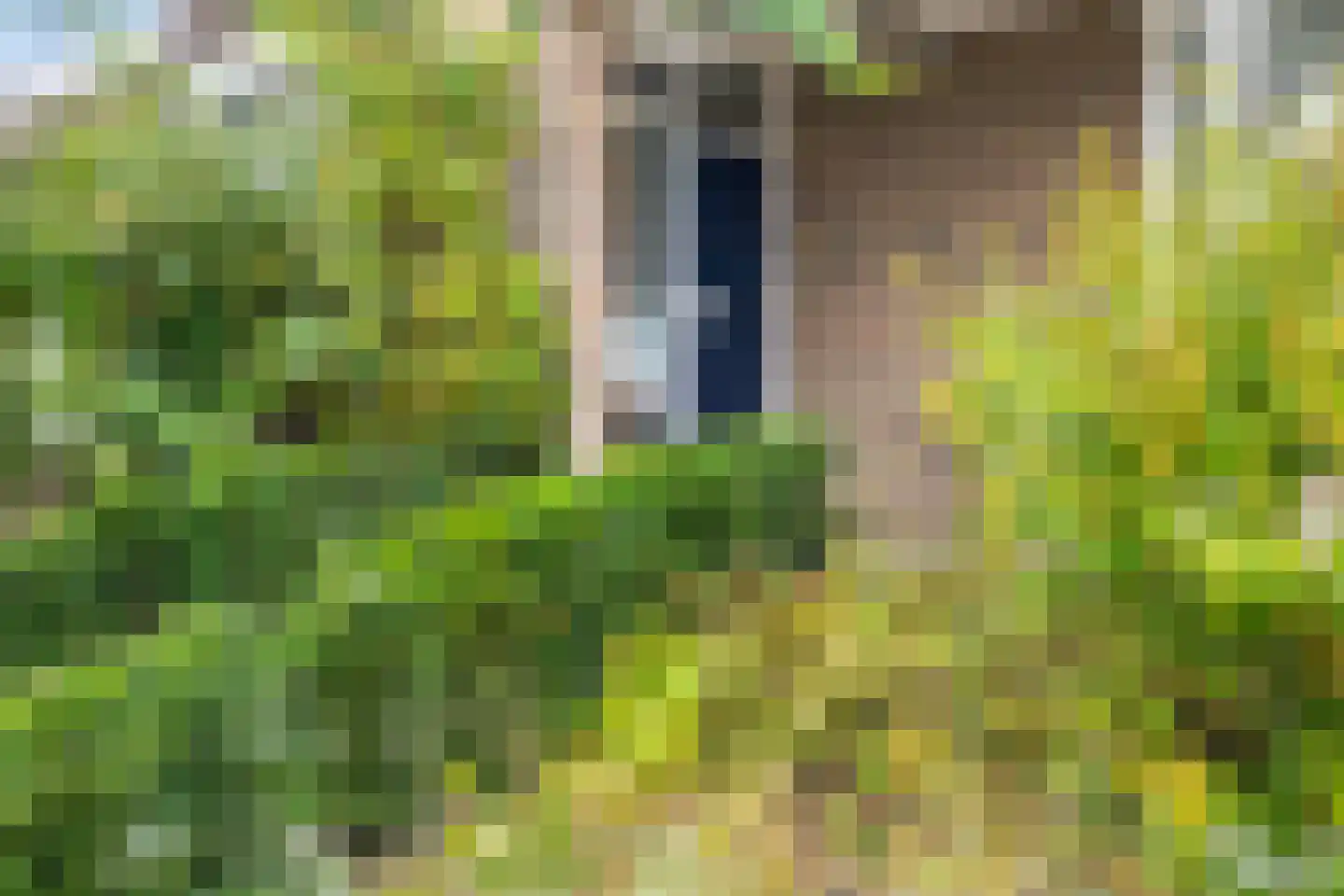 Vlasselt 32 Wagenberg thumbnail 10
