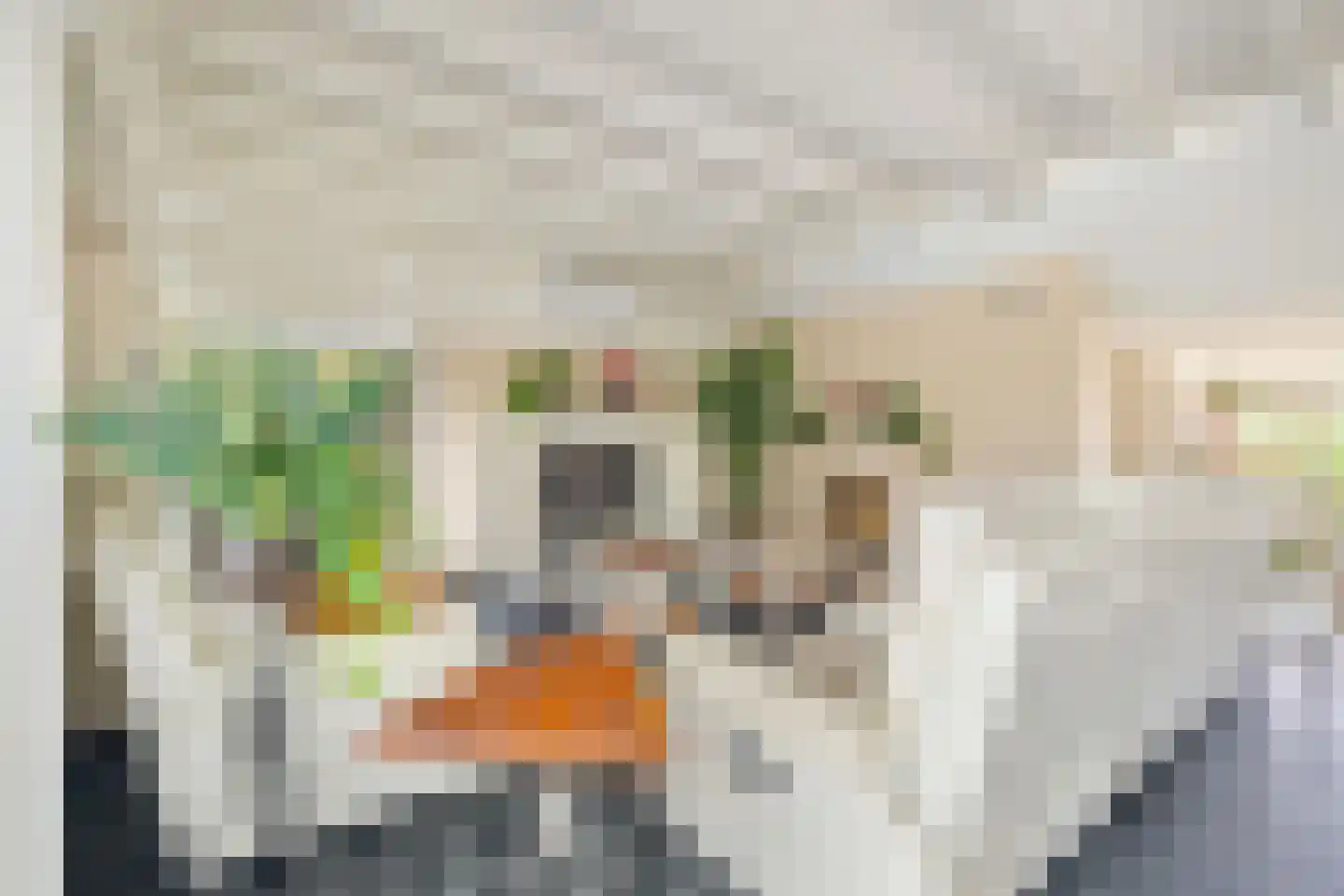 Vlasselt 32 Wagenberg thumbnail 21