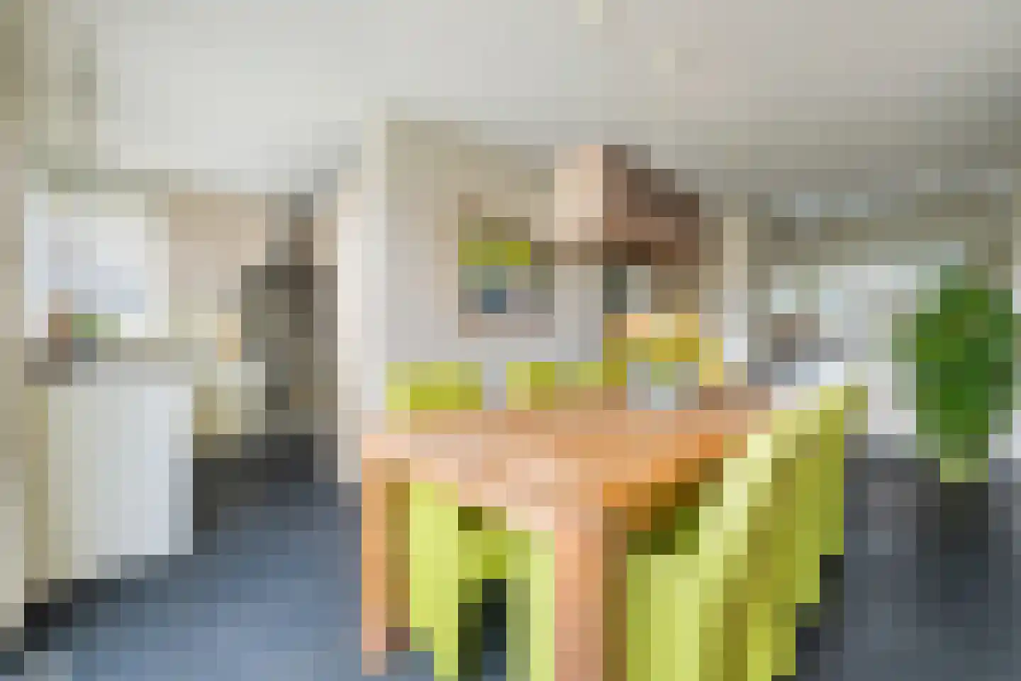 Vlasselt 32 Wagenberg thumbnail 26