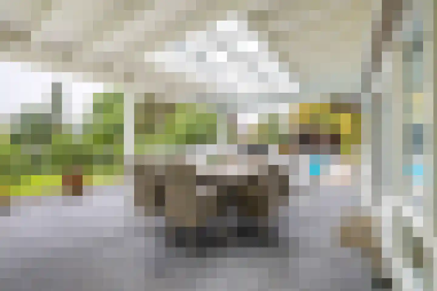 Vlasselt 32 Wagenberg thumbnail 64