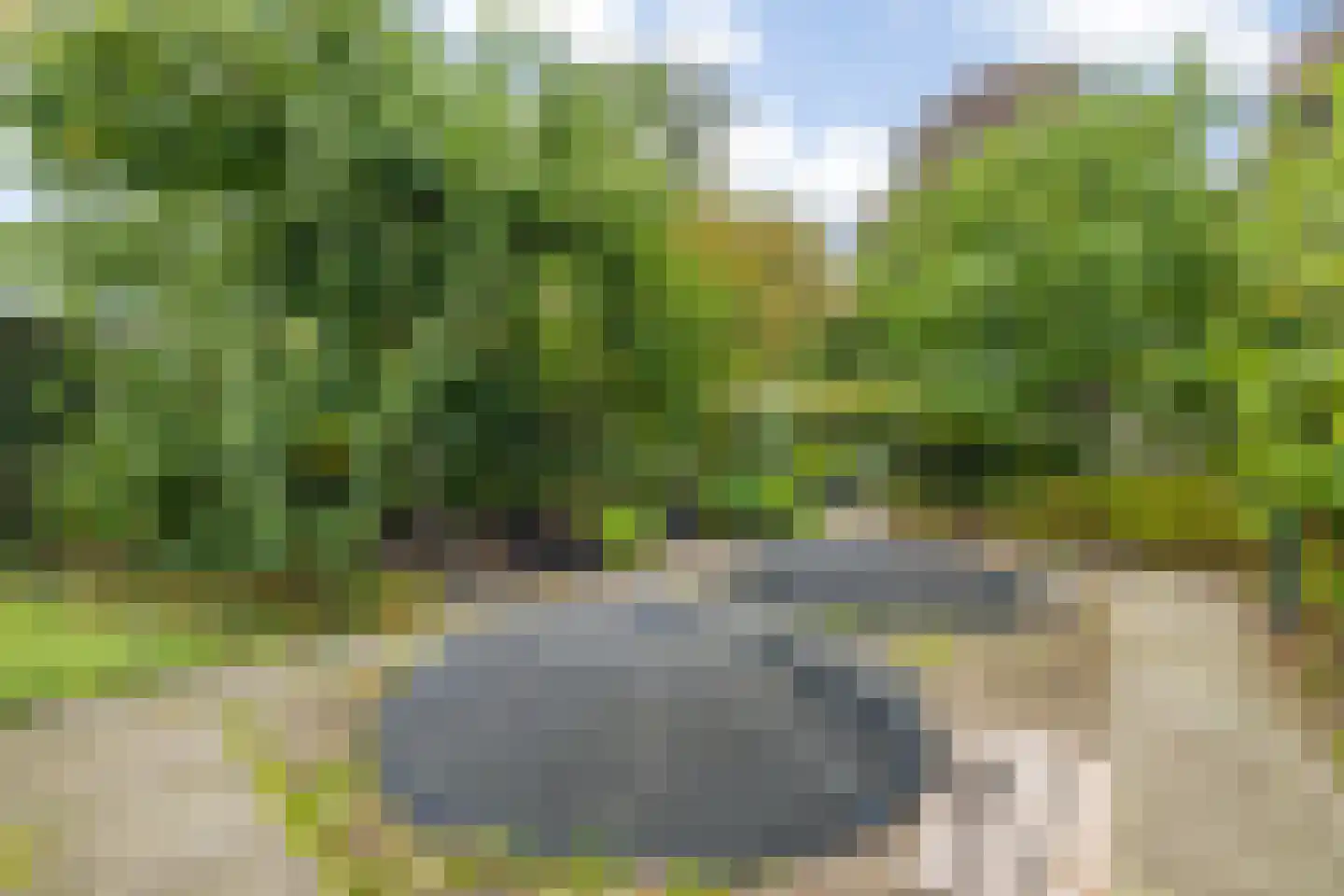 Vlasselt 32 Wagenberg thumbnail 73