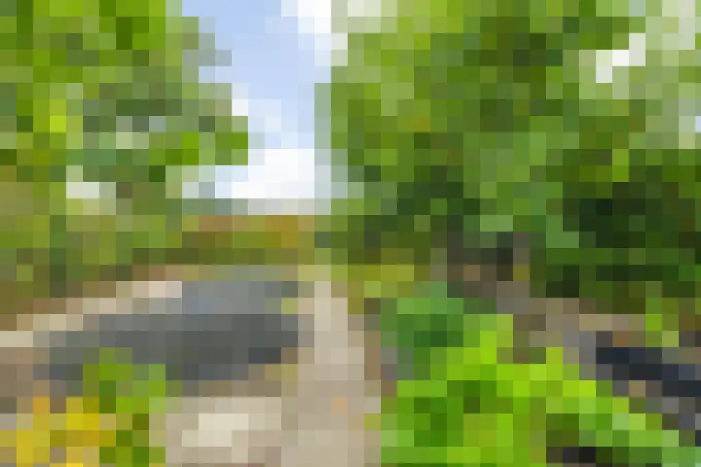 Vlasselt 32 Wagenberg thumbnail 74