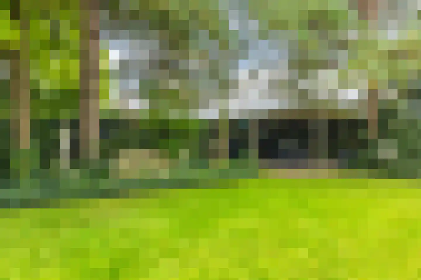 Vlasselt 32 Wagenberg thumbnail 75