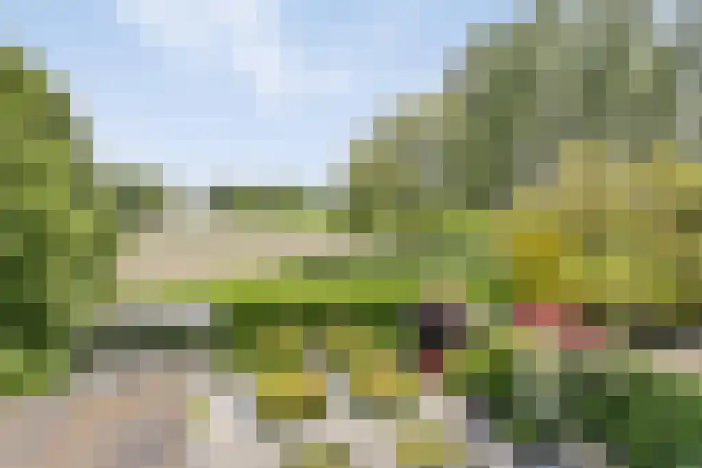 Vlasselt 70 Wagenberg thumbnail 4