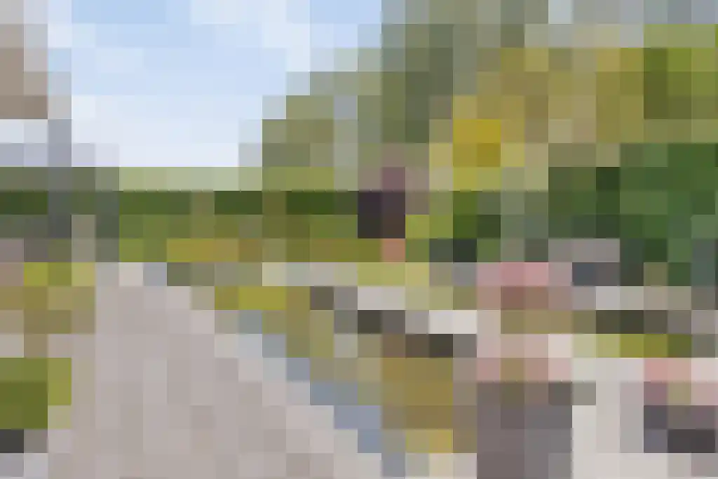 Vlasselt 70 Wagenberg thumbnail 53