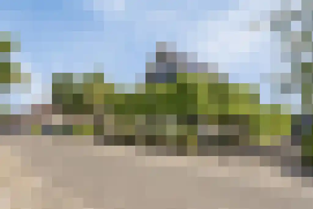 Vlasselt 70 Wagenberg thumbnail 59