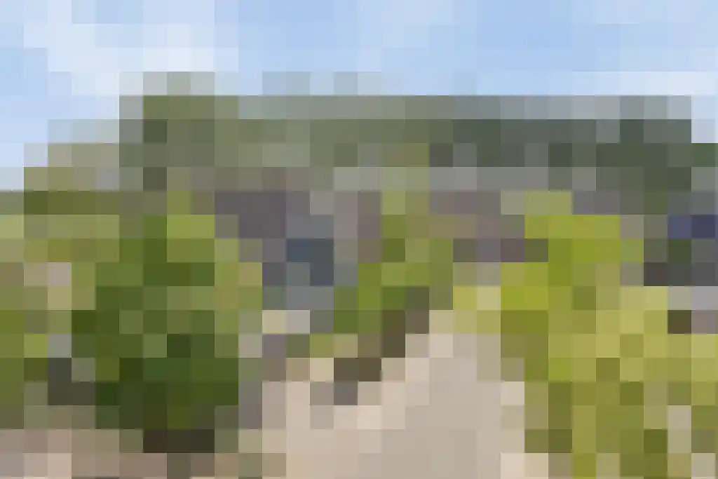 Vlasselt 70 Wagenberg thumbnail 62