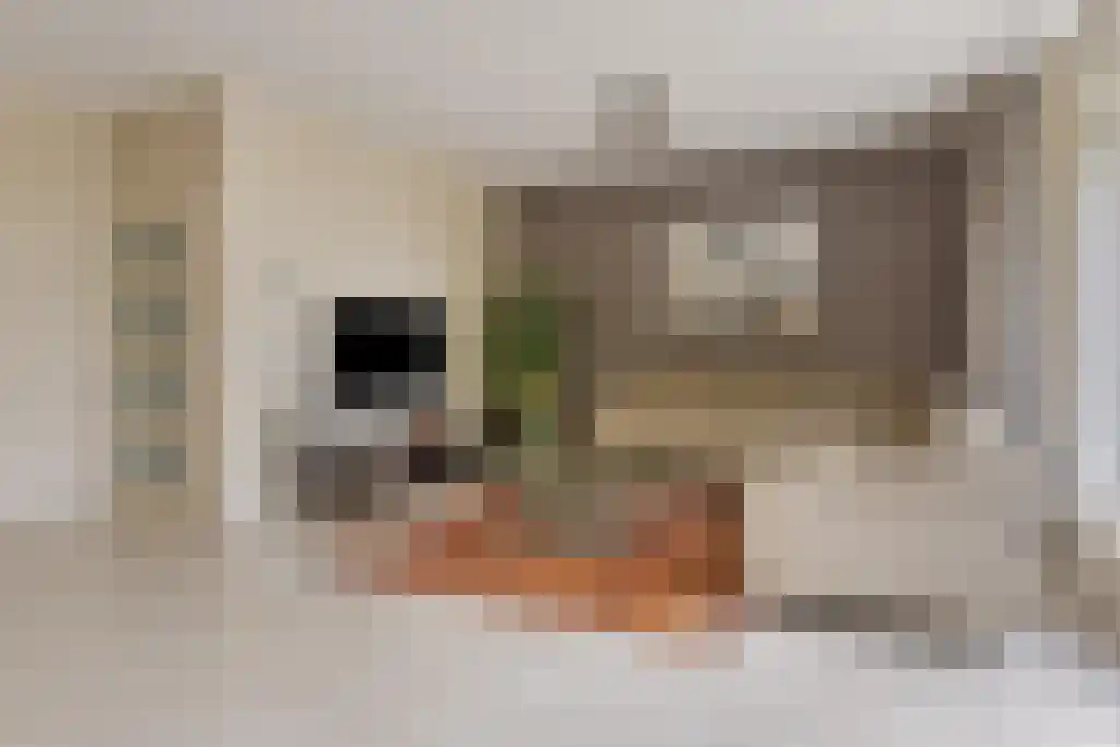 Vlasselt 70 Wagenberg thumbnail 9