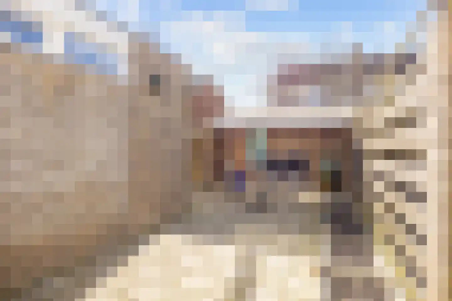 Vlasserslaan 25 Ulrum thumbnail 19