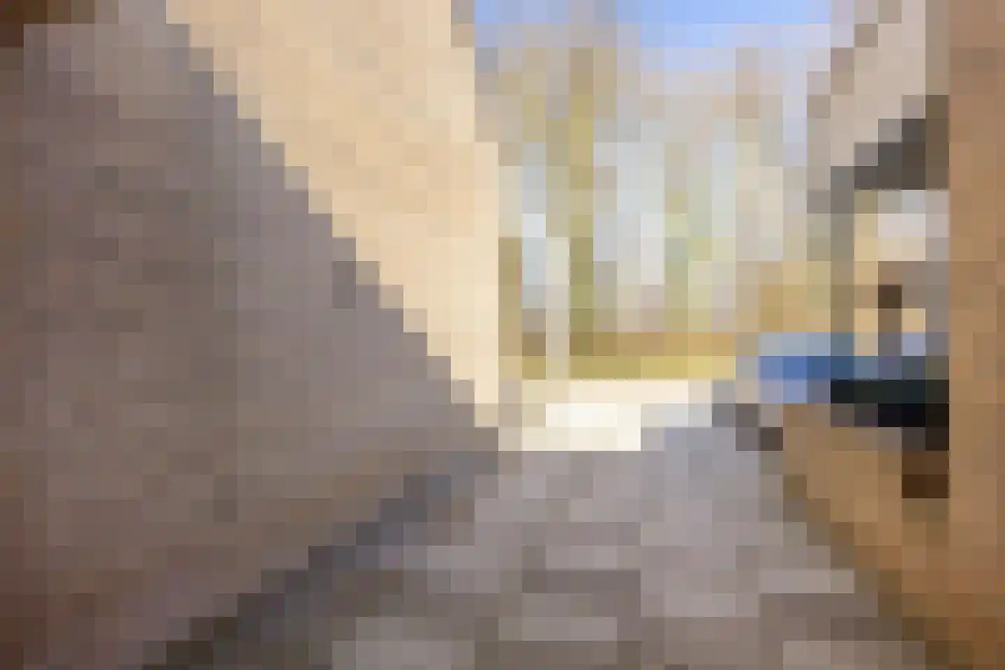 Vlasserslaan 25 Ulrum thumbnail 21