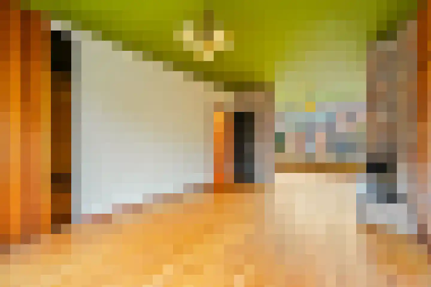 Vlasserssingel 14 Hendrik-Ido-Ambacht thumbnail 15