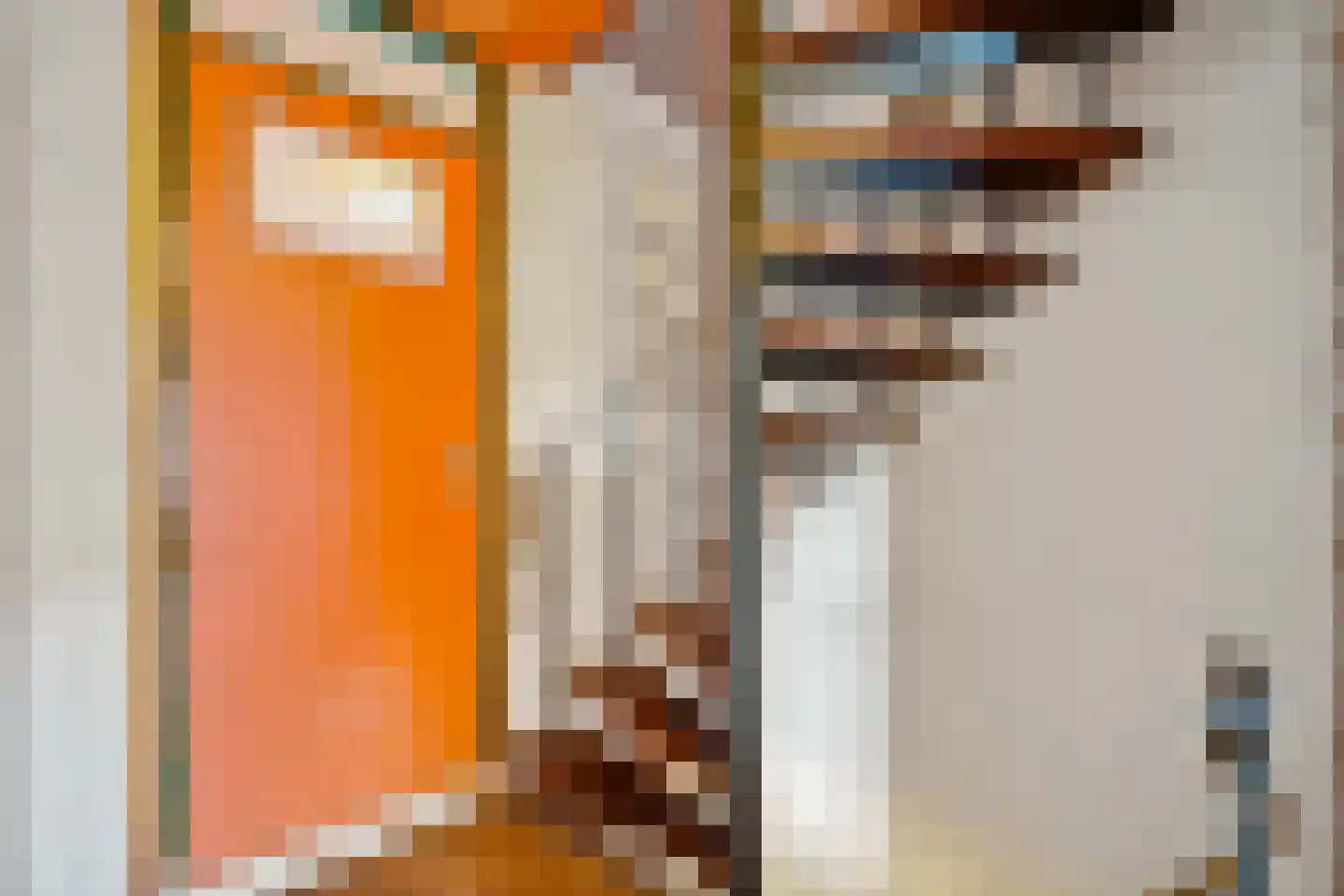 Vlasserssingel 14 Hendrik-Ido-Ambacht thumbnail 30