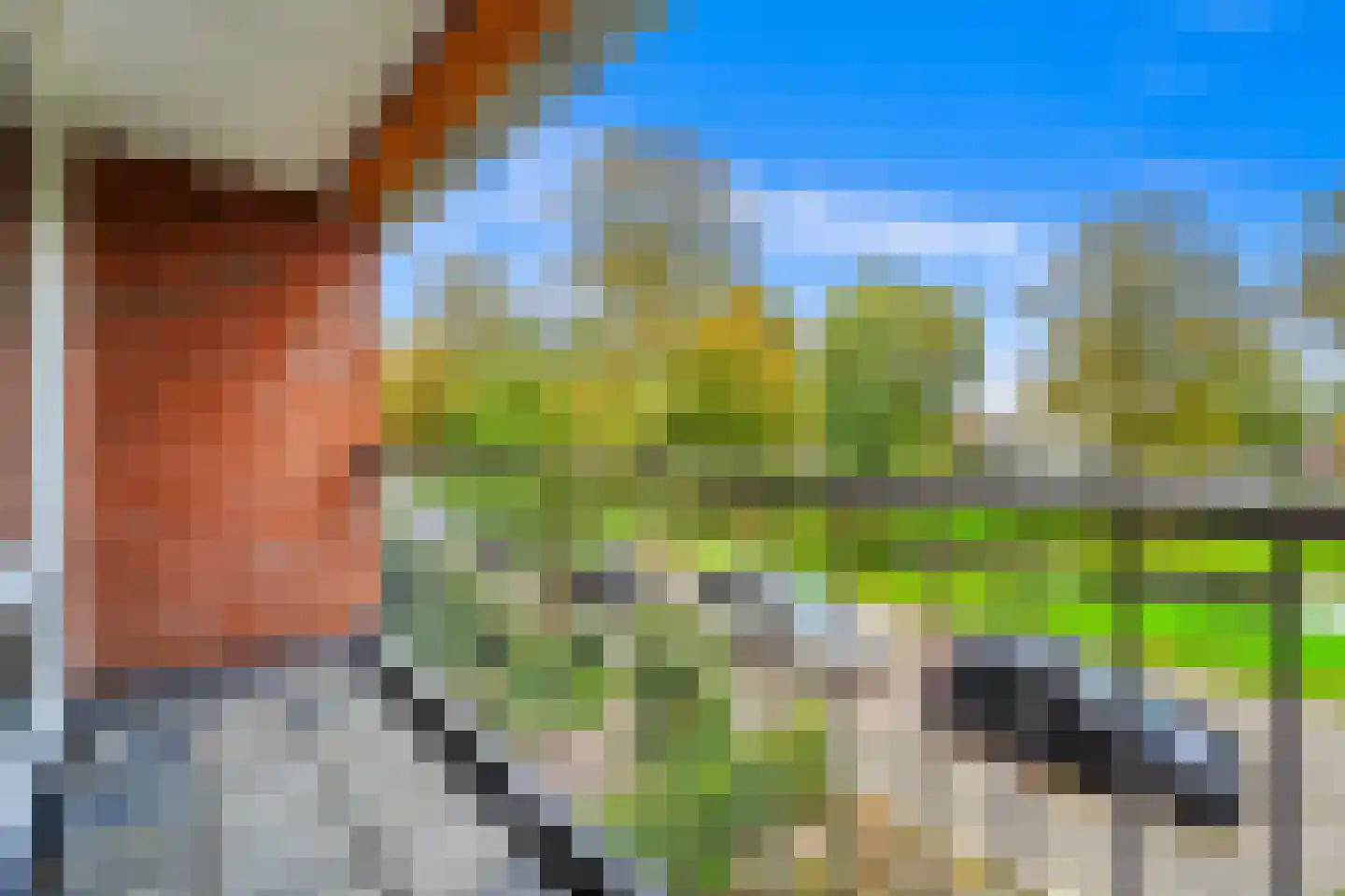 Vlasserssingel 14 Hendrik-Ido-Ambacht thumbnail 34
