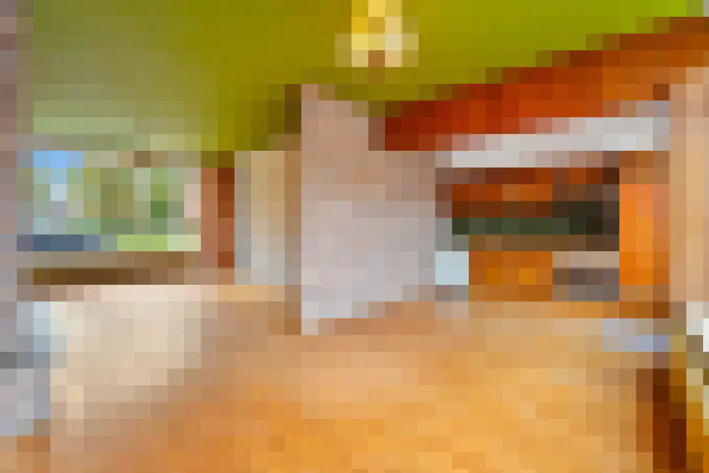 Vlasserssingel 14 Hendrik-Ido-Ambacht thumbnail 4