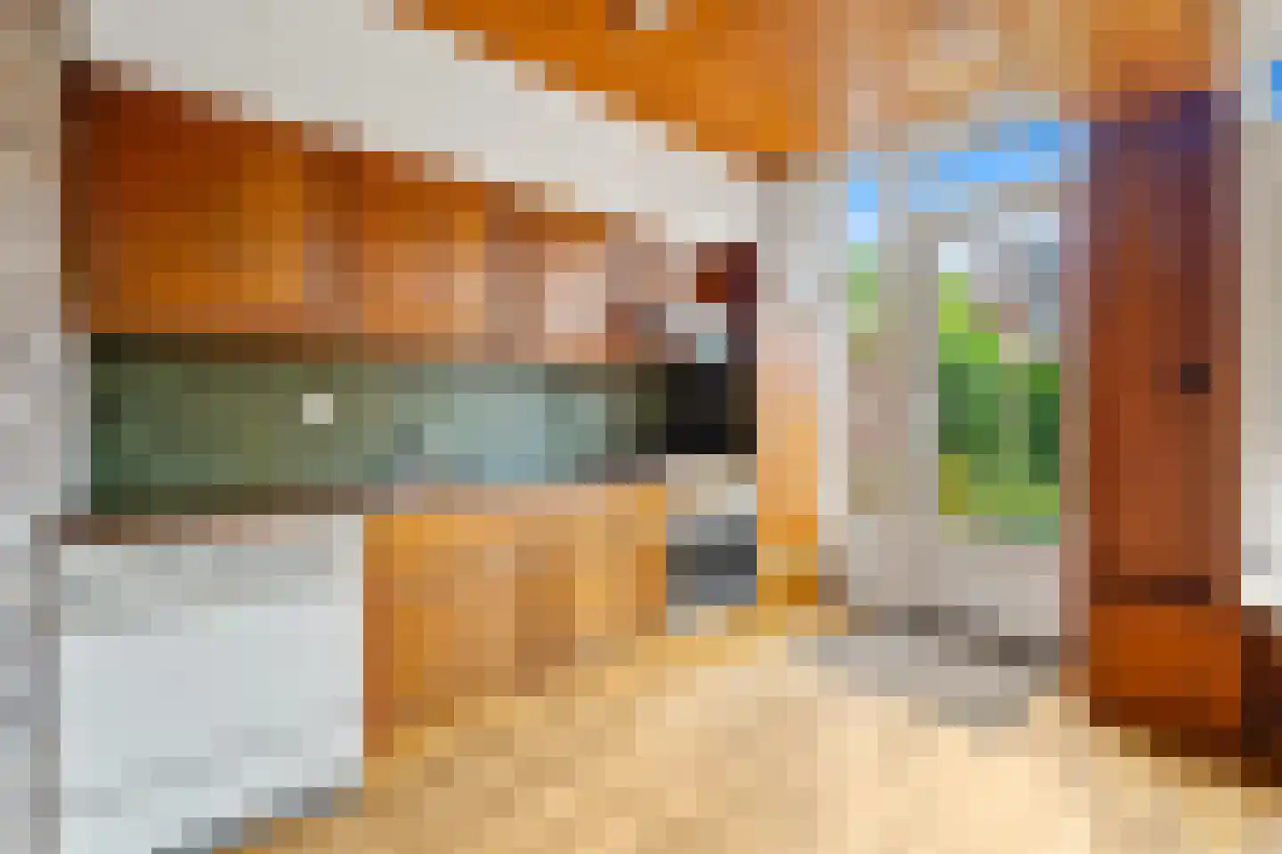 Vlasserssingel 14 Hendrik-Ido-Ambacht thumbnail 5