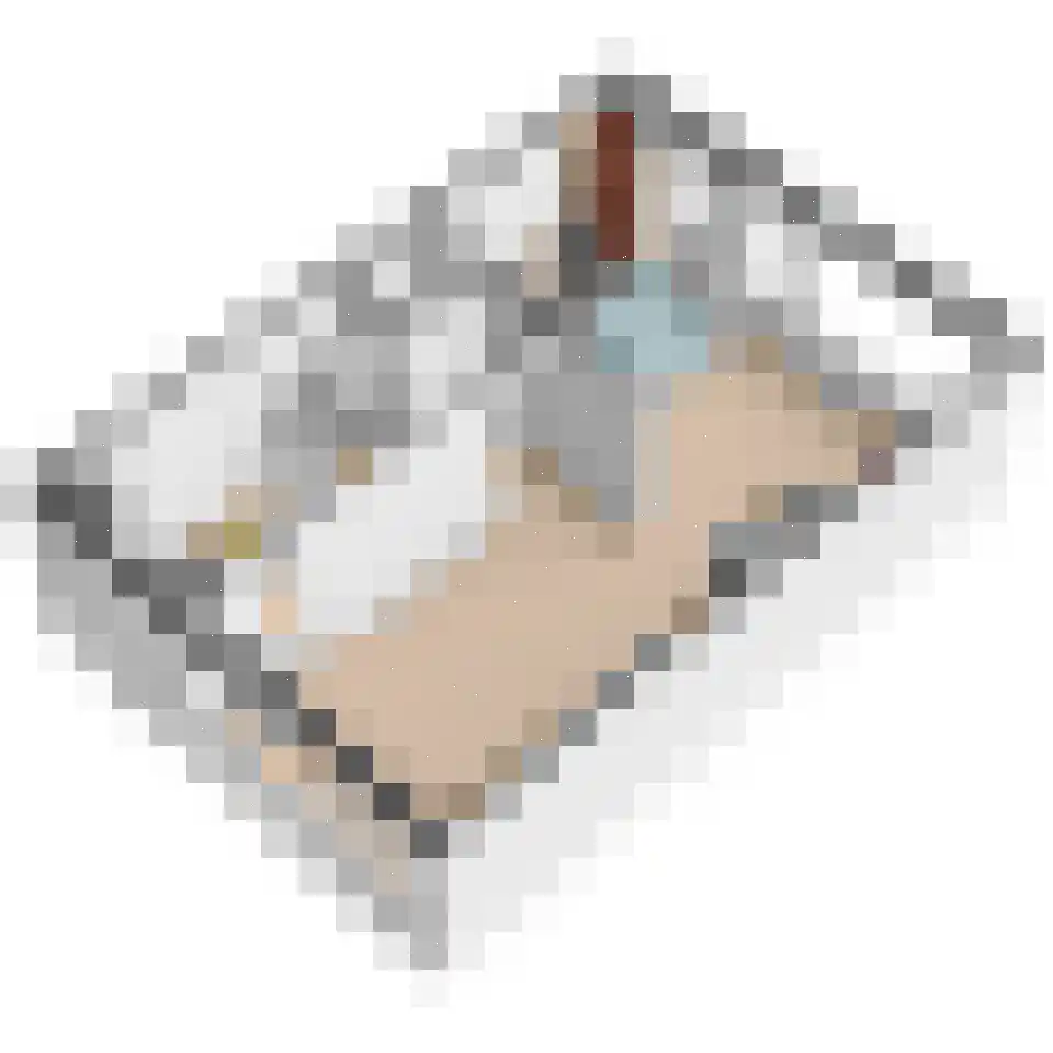 Vlasserssingel 14 Hendrik-Ido-Ambacht thumbnail 65