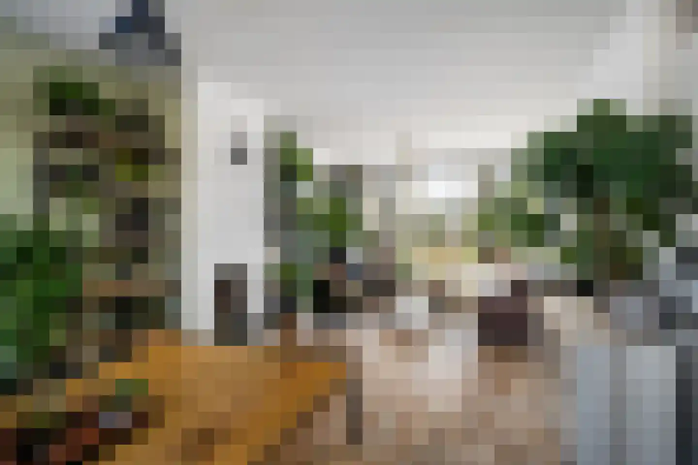 Vlasserssingel 8 Hendrik-Ido-Ambacht thumbnail 10