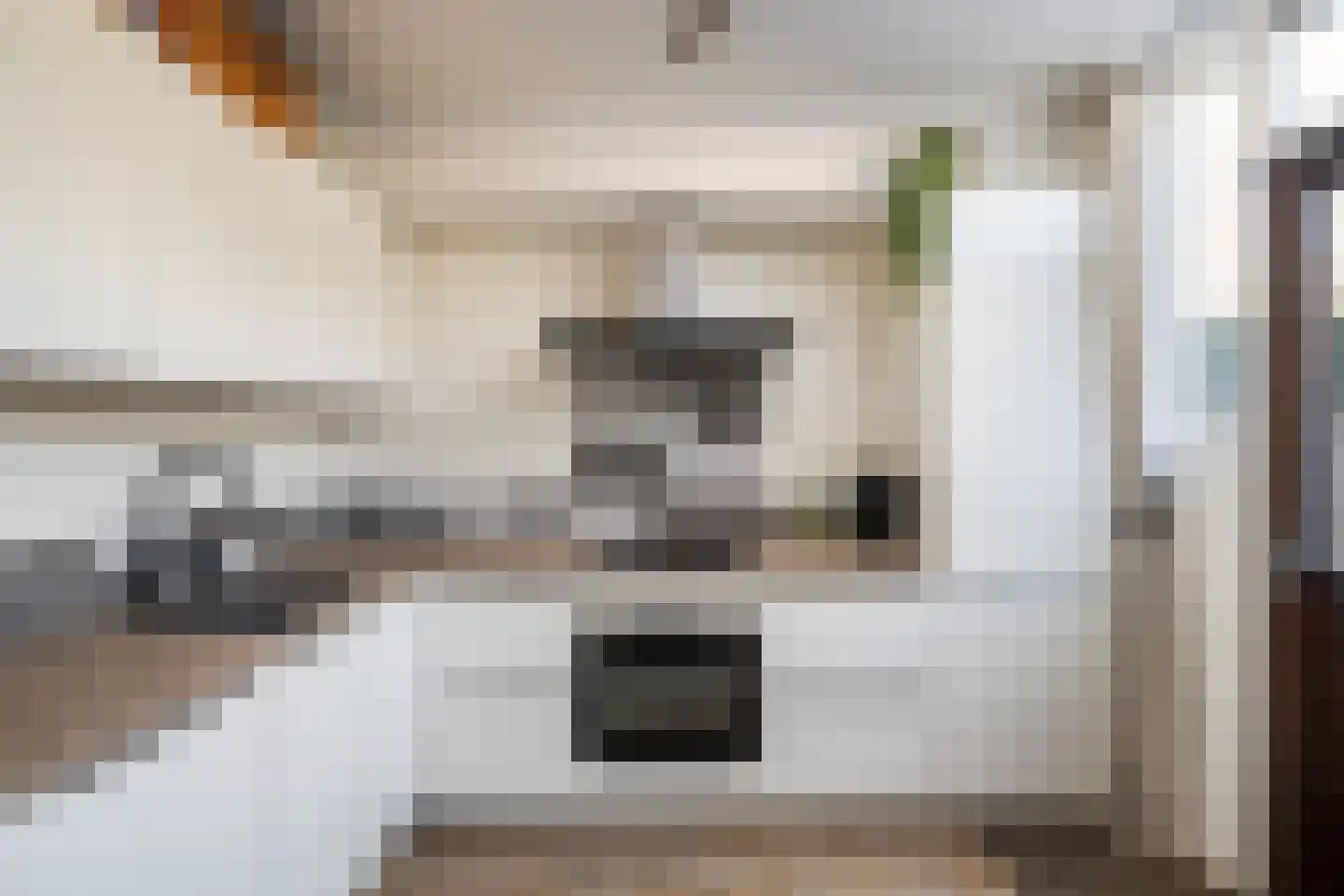 Vlasserssingel 8 Hendrik-Ido-Ambacht thumbnail 14
