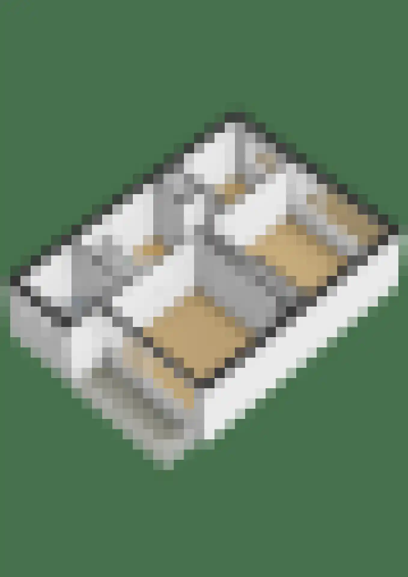 Vlasserssingel 8 Hendrik-Ido-Ambacht thumbnail 45