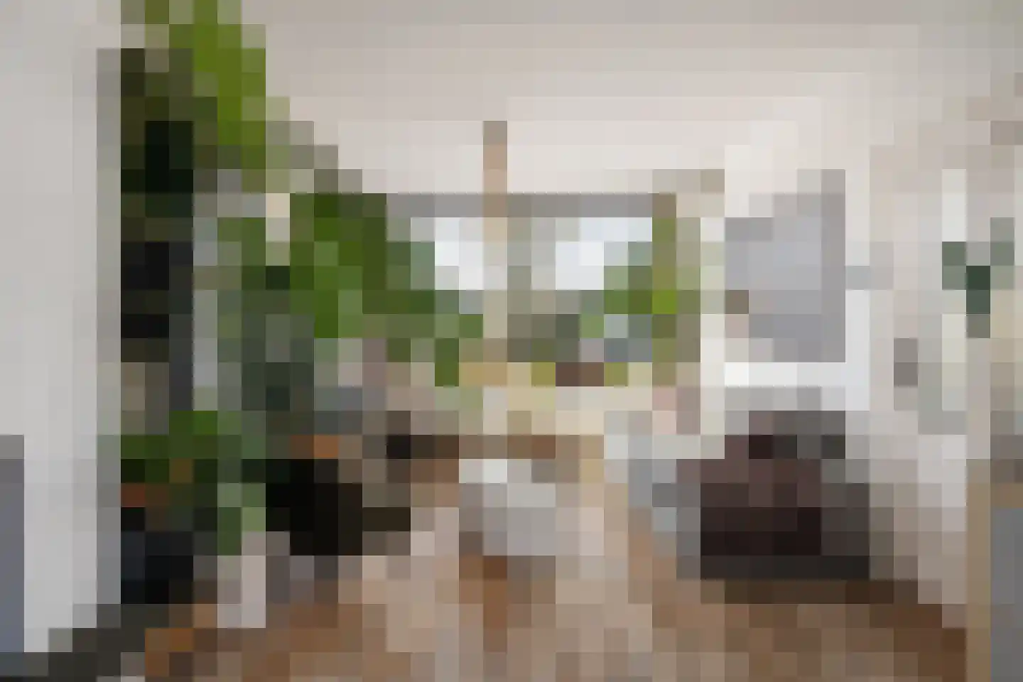 Vlasserssingel 8 Hendrik-Ido-Ambacht thumbnail 7