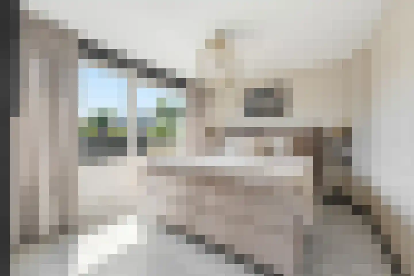 Vlassersstraat 19 Hendrik-Ido-Ambacht thumbnail 23