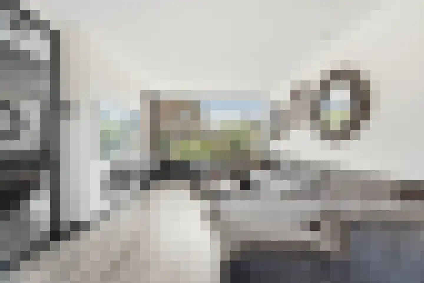 Vlassersstraat 19 Hendrik-Ido-Ambacht thumbnail 7