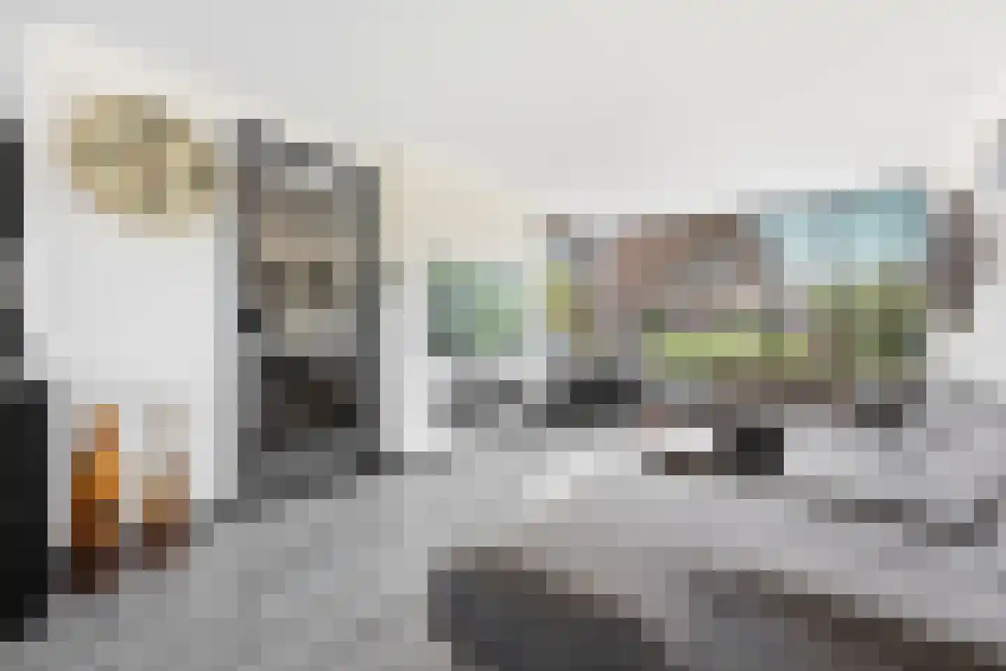 Vlassersstraat 19 Hendrik-Ido-Ambacht thumbnail 8