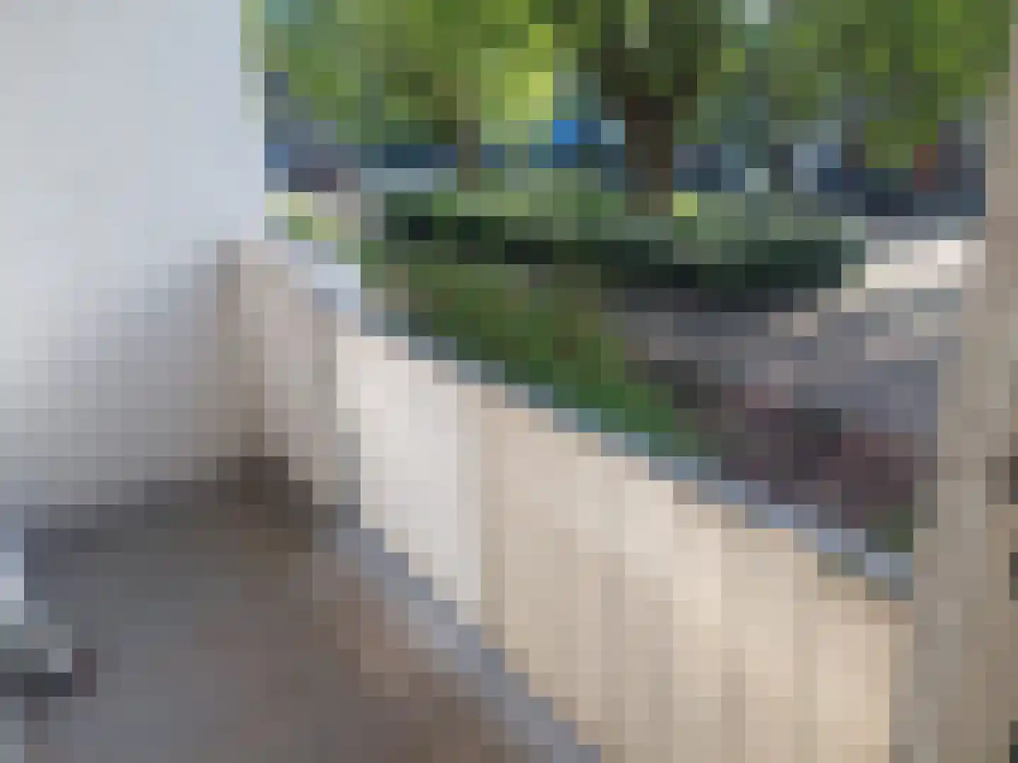 Vlasserstraat 63 Eindhoven thumbnail 12