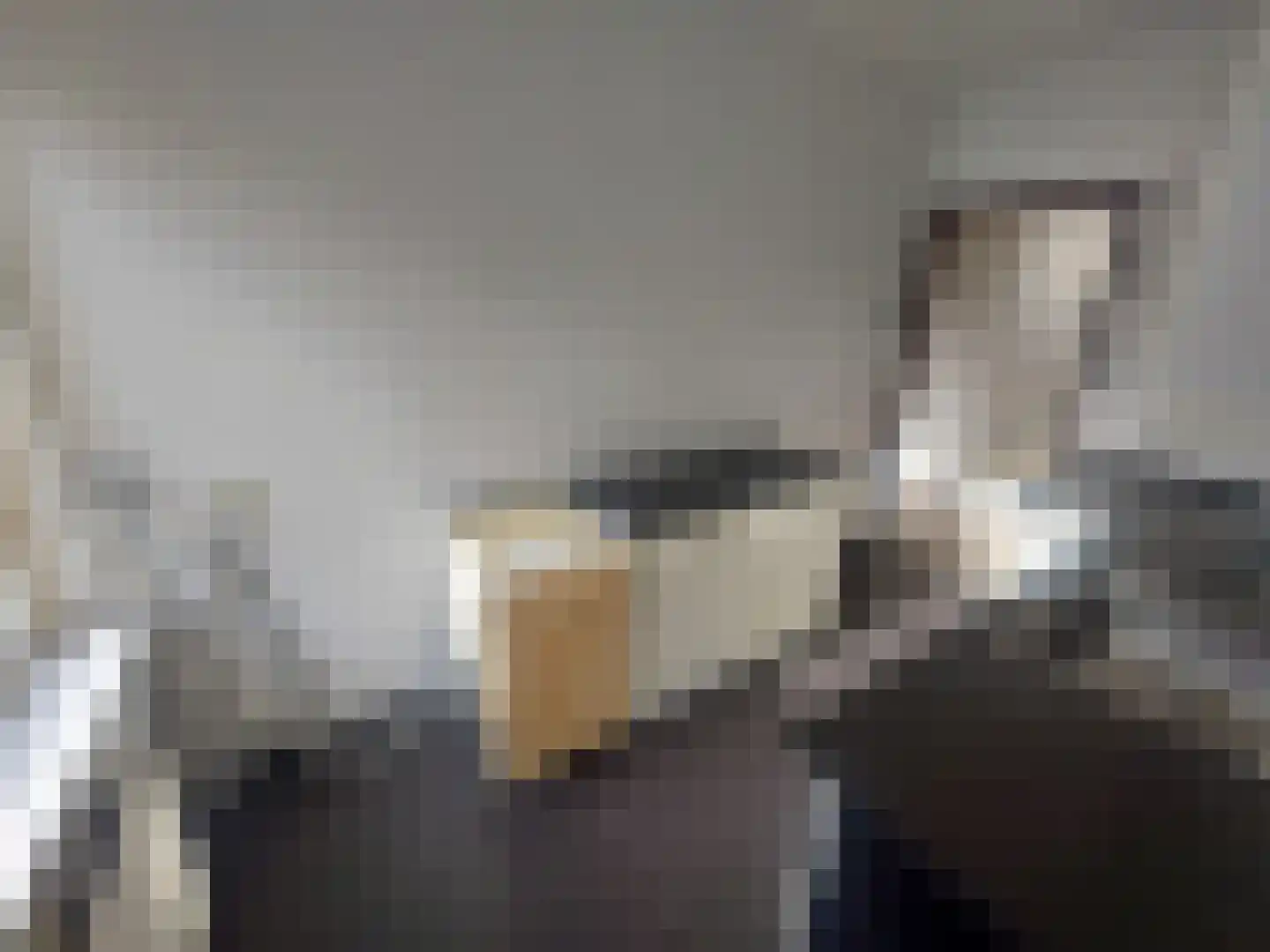 Vlasserstraat 63 Eindhoven thumbnail 15