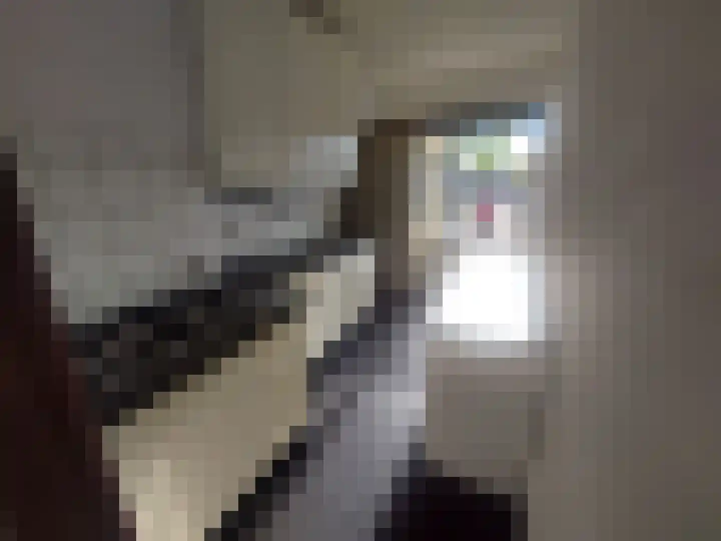 Vlasserstraat 63 Eindhoven thumbnail 20