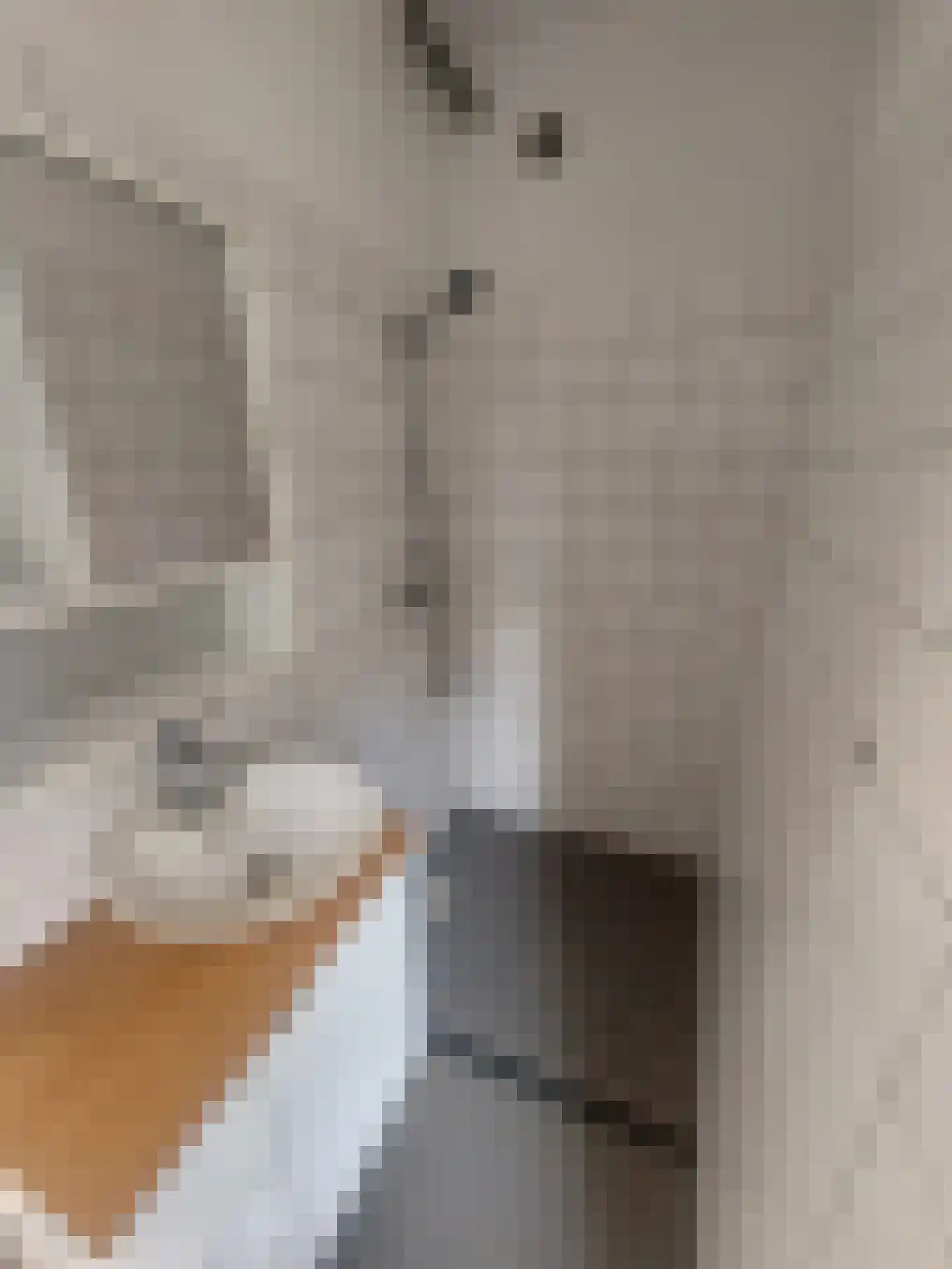 Vlasserstraat 63 Eindhoven thumbnail 7