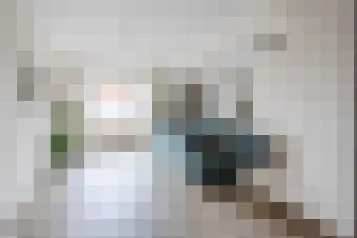 Vlassert 11 Reusel thumbnail 10