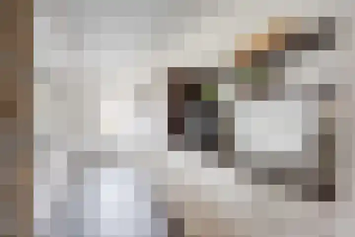 Vlassert 11 Reusel thumbnail 17