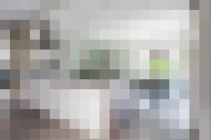 Vlassert 11 Reusel thumbnail 19