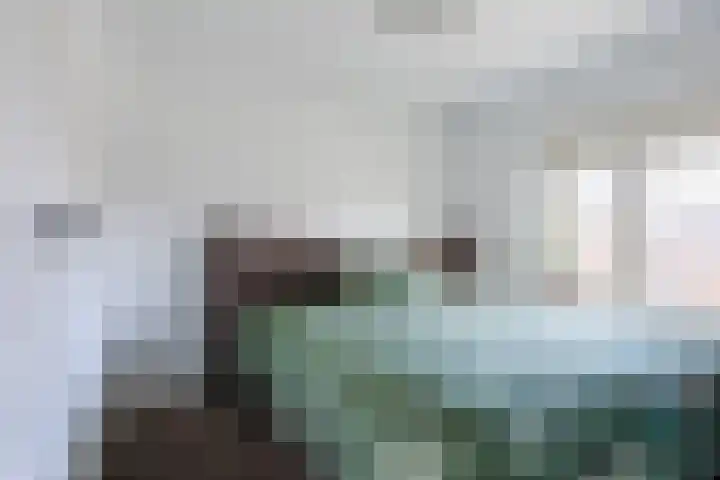Vlassert 11 Reusel thumbnail 35