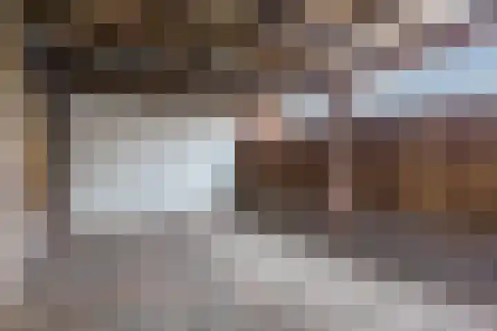 Vlassert 11 Reusel thumbnail 56