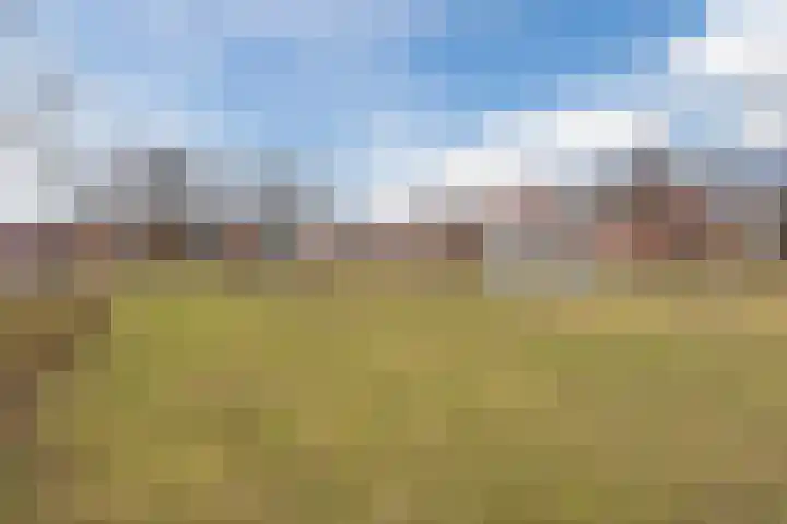 Vlassert 11 Reusel thumbnail 68