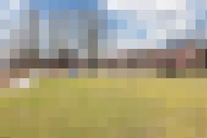 Vlassert 11 Reusel thumbnail 69