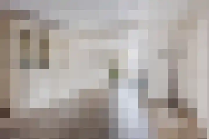 Vlassert 11 Reusel thumbnail 8