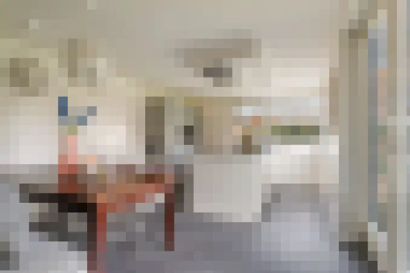 Vlassert 34 Reusel thumbnail 19