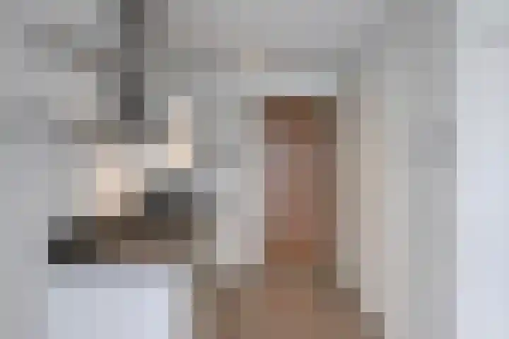 Vlassert 34 Reusel thumbnail 28